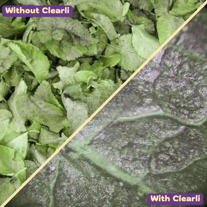 Clearli DiscoveryScope™ - The Original Kids Microscope